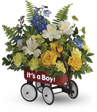Baby's First Wagon - Boy