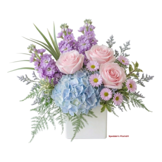 Pastel Designer's Choice