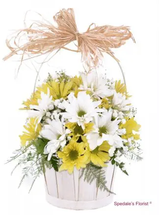 Daisy Basket