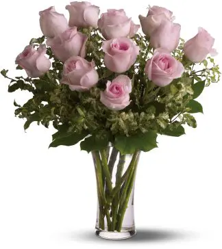 A Dozen Pink Roses
