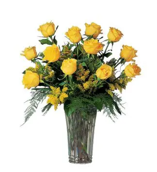 A Dozen Yellow Roses