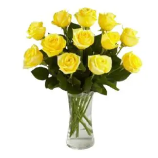 A Perfect Yellow Dozen