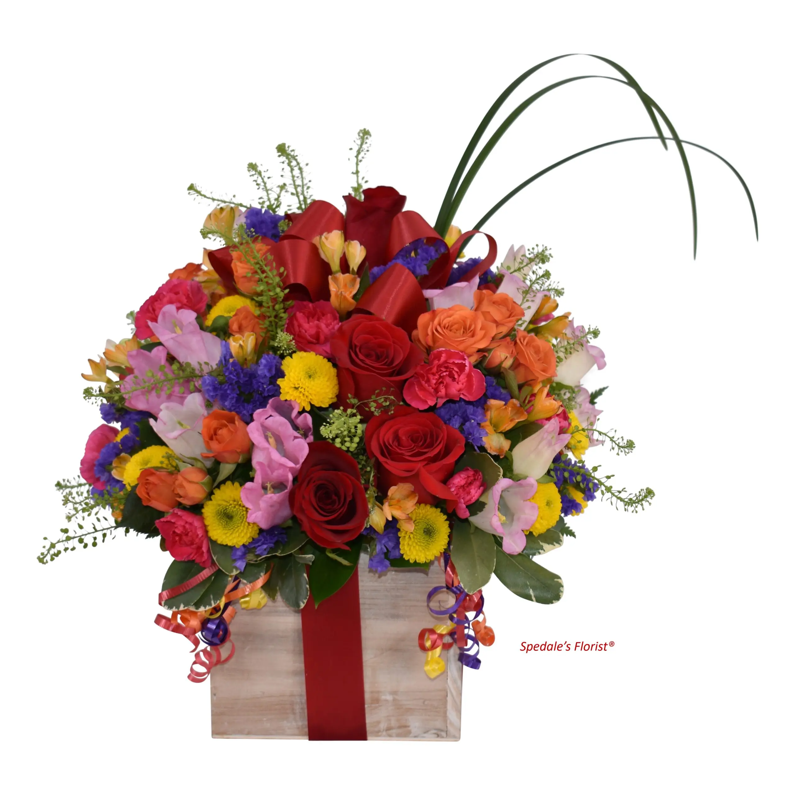 Happy Birthday to You