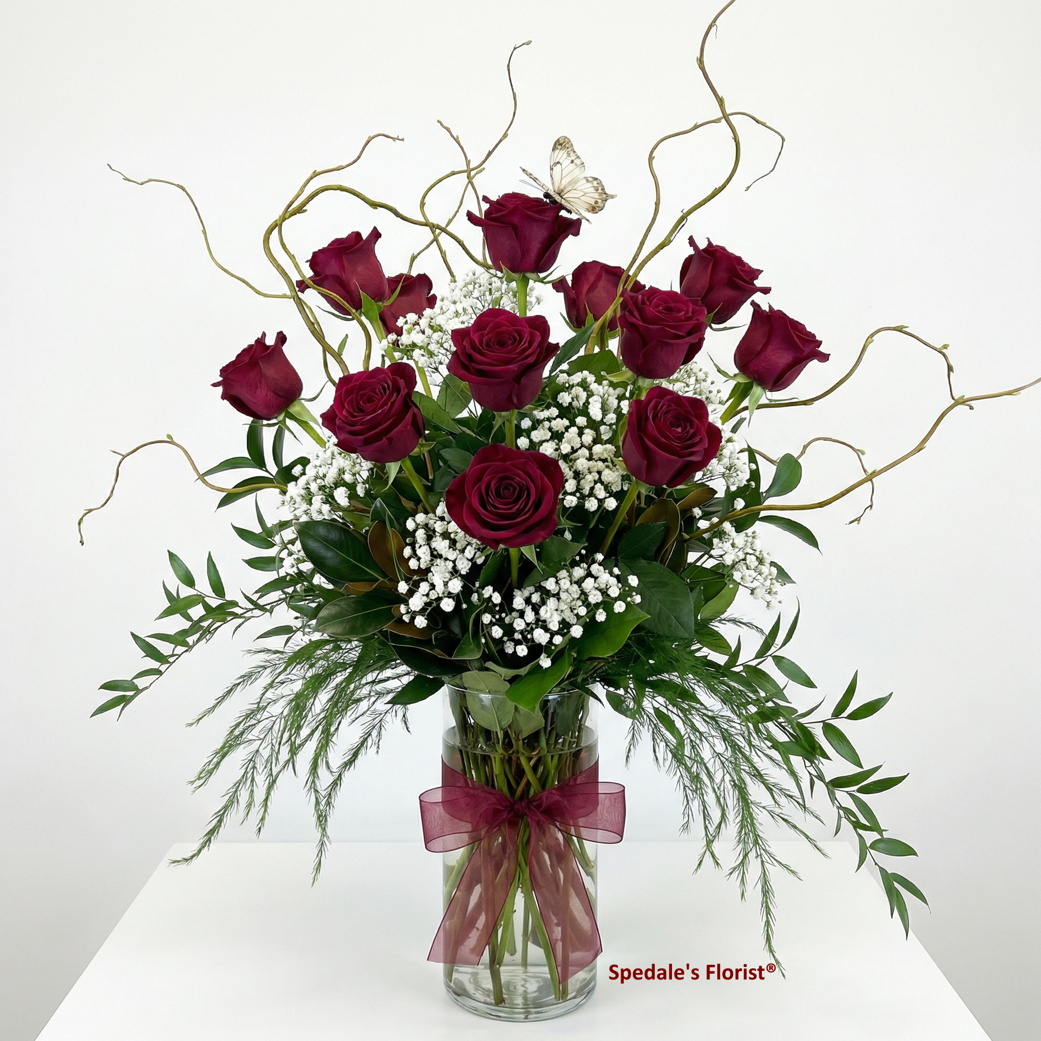 Bellissima - Image 2