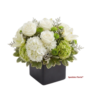 devereaux - Classic green and white arrangement designed in a black ceramic cube features green and white hydrangea, white roses and lilies, green button poms, limonium, and variegated pittosporum