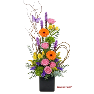 geraldine - This bright and colorful arrangement is designed in a black ceramic cube