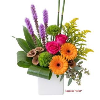 Mirabelle - Bold and bright, this cheerful design features orange gerbera