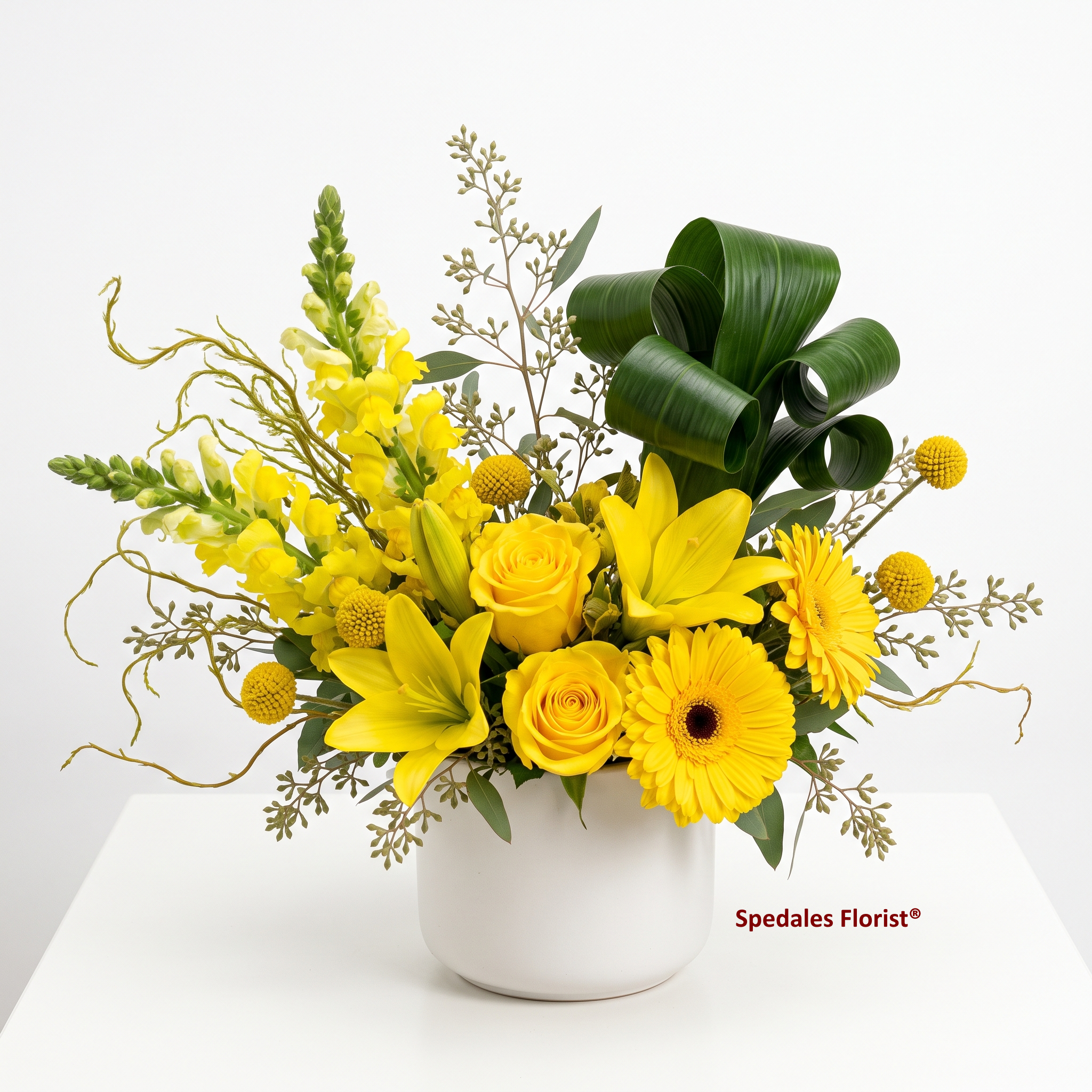 Sunshine Days - Image 2