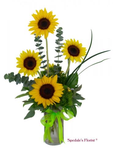 Sunflower Style