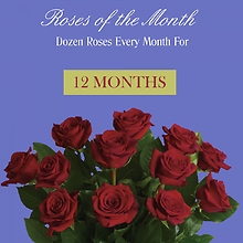 Roses Of The Month - 12 Months