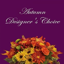 Autumn Designer\'s Choice