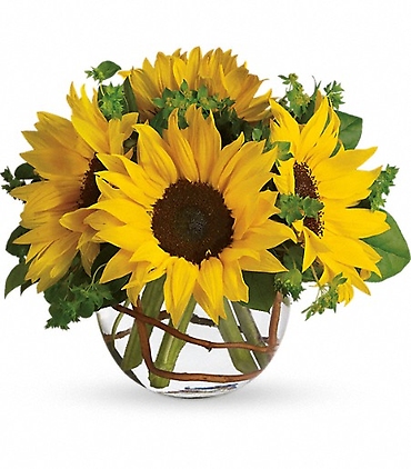 Sunny Sunflowers