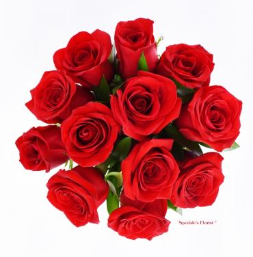 One Dozen Red Roses