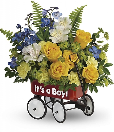 Baby\'s First Wagon - Boy