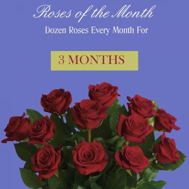 Roses Of The Month - 3 Months