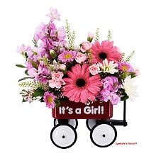 Baby\'s First Wagon - Girl