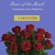 Roses Of The Month - 6 Months