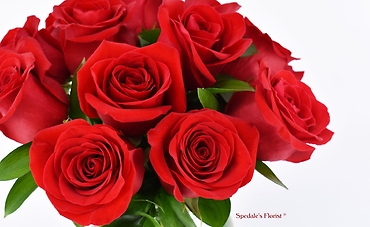 One Dozen Red Roses