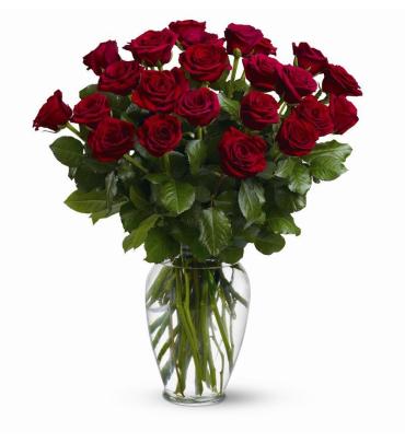 Two Dozen Red Roses No Gyp