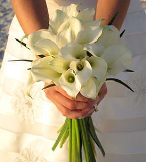 Wedding Packages Specials and Wholesale Bulk Flower Ordering