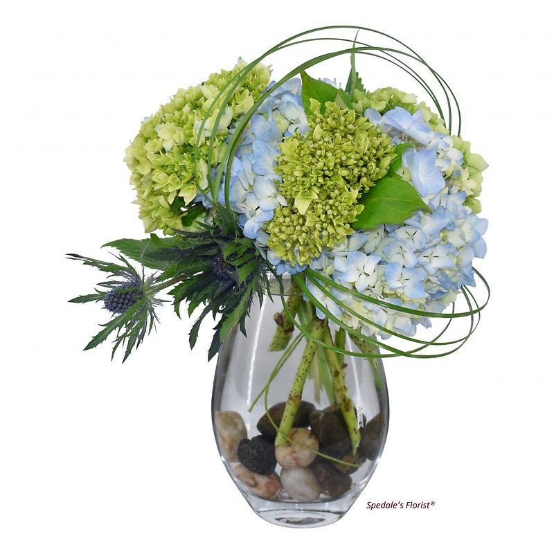 Spedale's Florist Logo